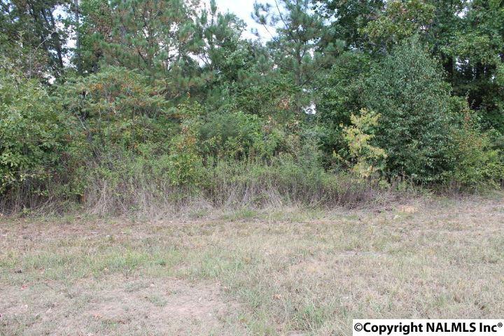 Hwy 9 - Photo 1
