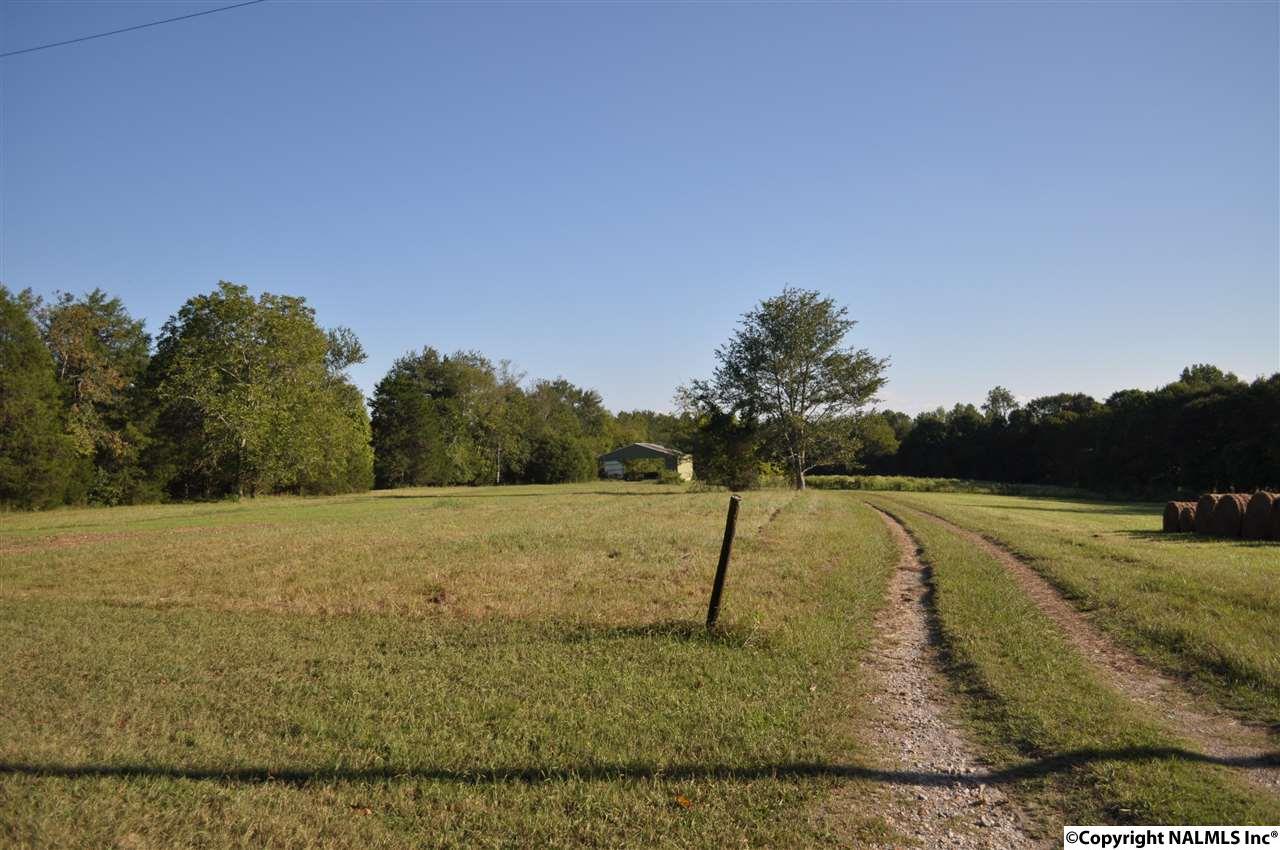 151 Covenant Lane - Photo 1