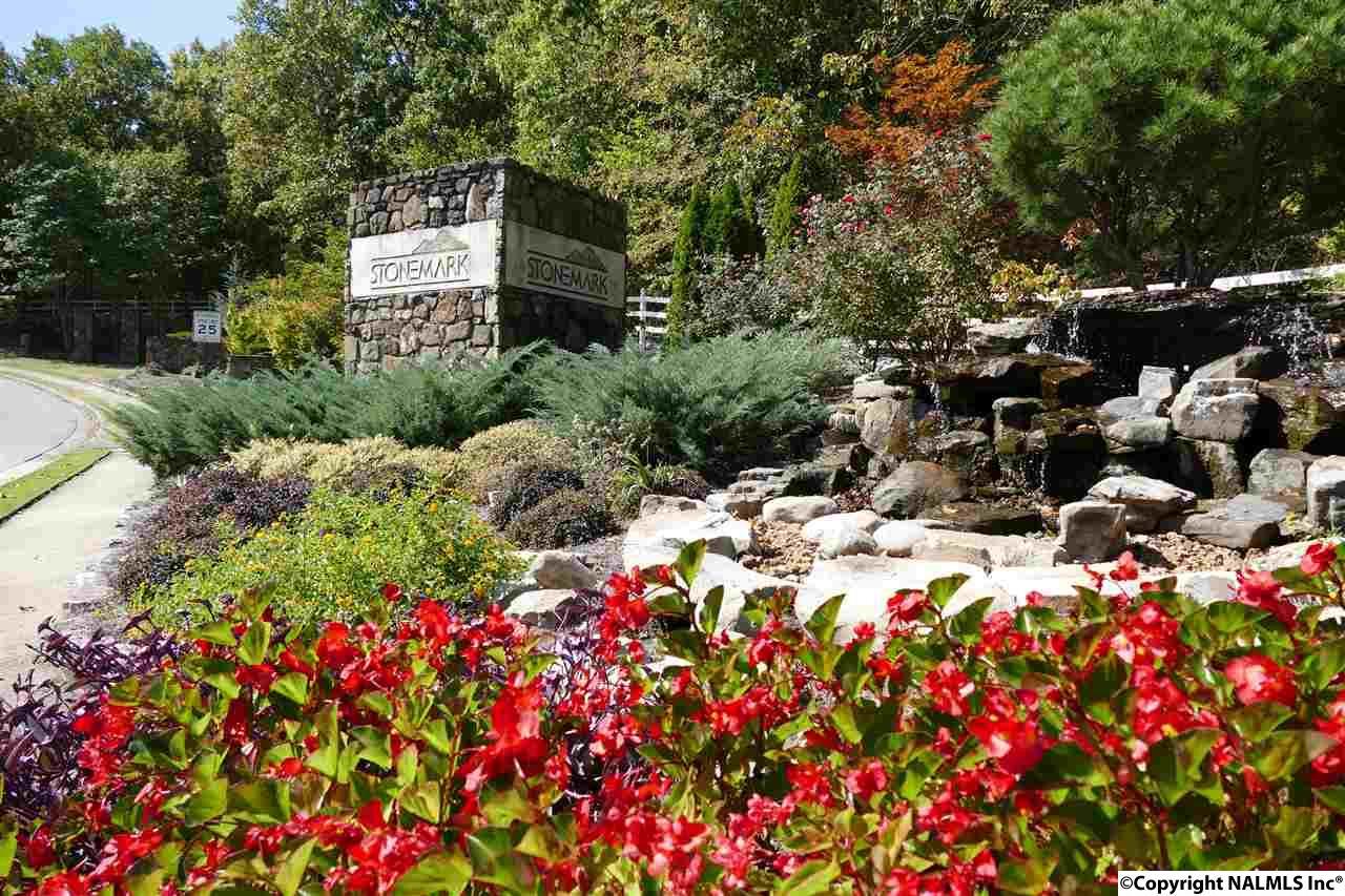 604 Smokey Mountain Circle - Photo 1