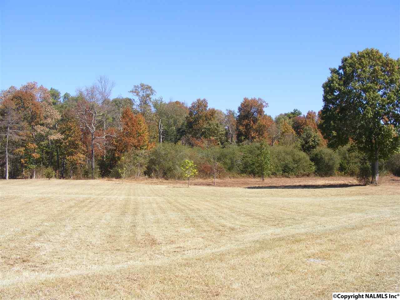 Lot 3 Sandrock Drive - Photo 1