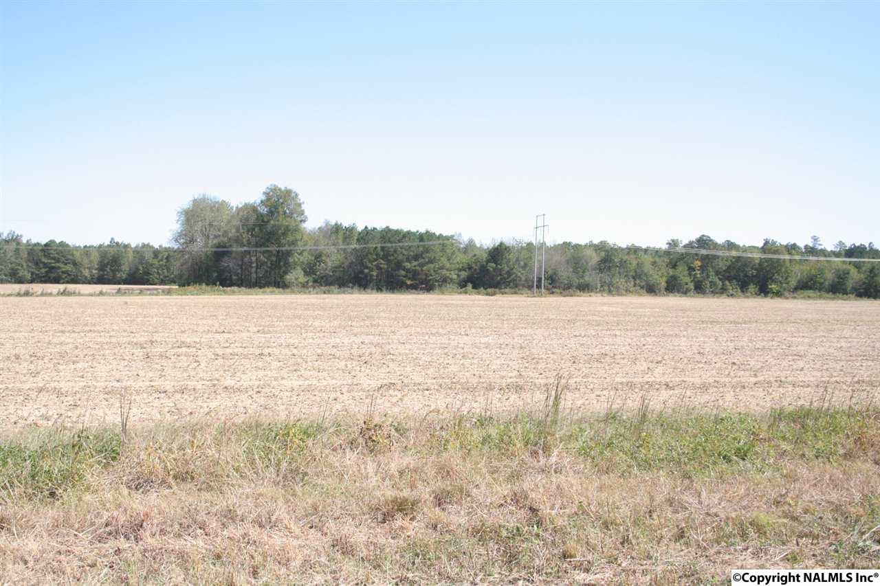 Mooresville Road - Photo 1