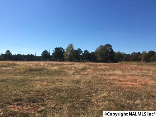 Highway 67 - Photo 1