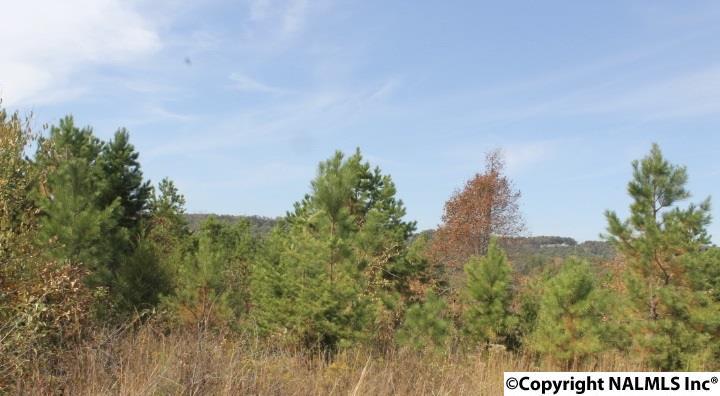 Lot 19 North Hillside Drive - Photo 1