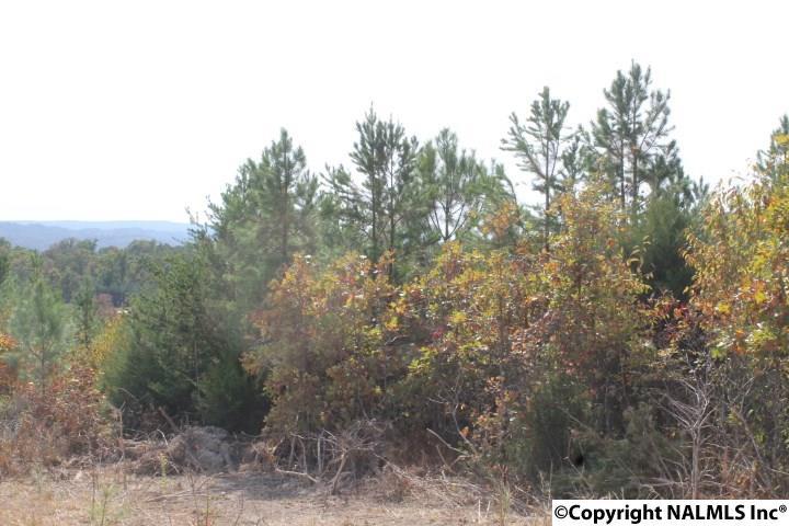 Lot 16 North Hillside Drive - Photo 1