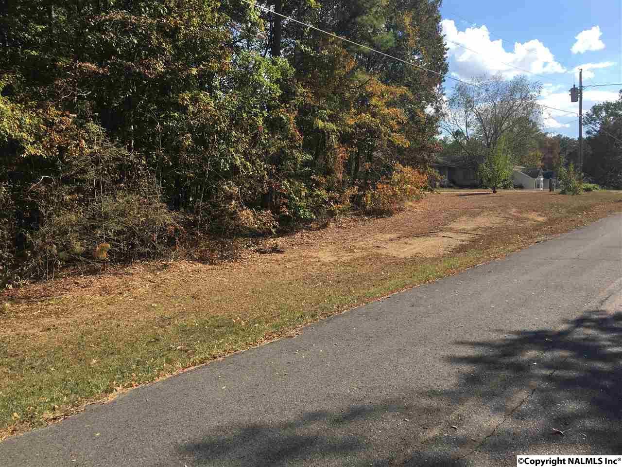 County Road 380 - Photo 1