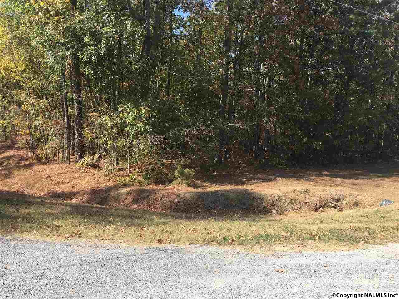 6 County Road 461 - Photo 1