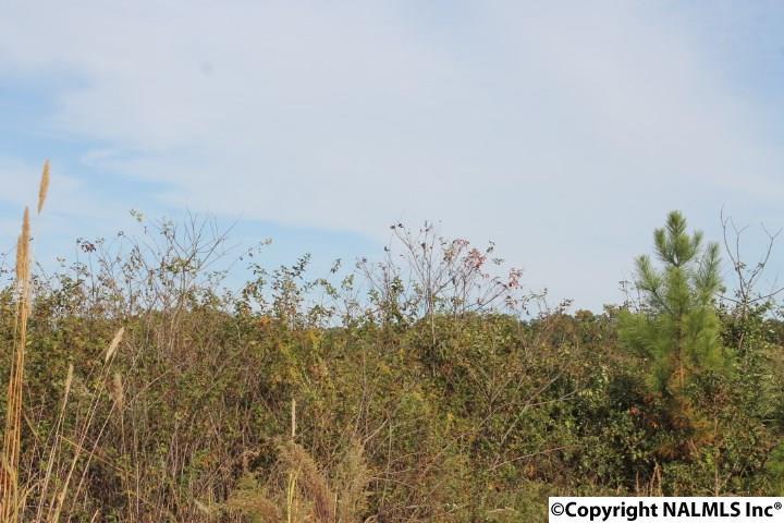 Lot 4 Hillside Drive - Photo 1