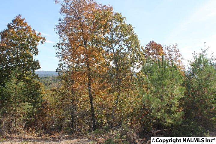 Lot 5 Hillside Drive - Photo 1