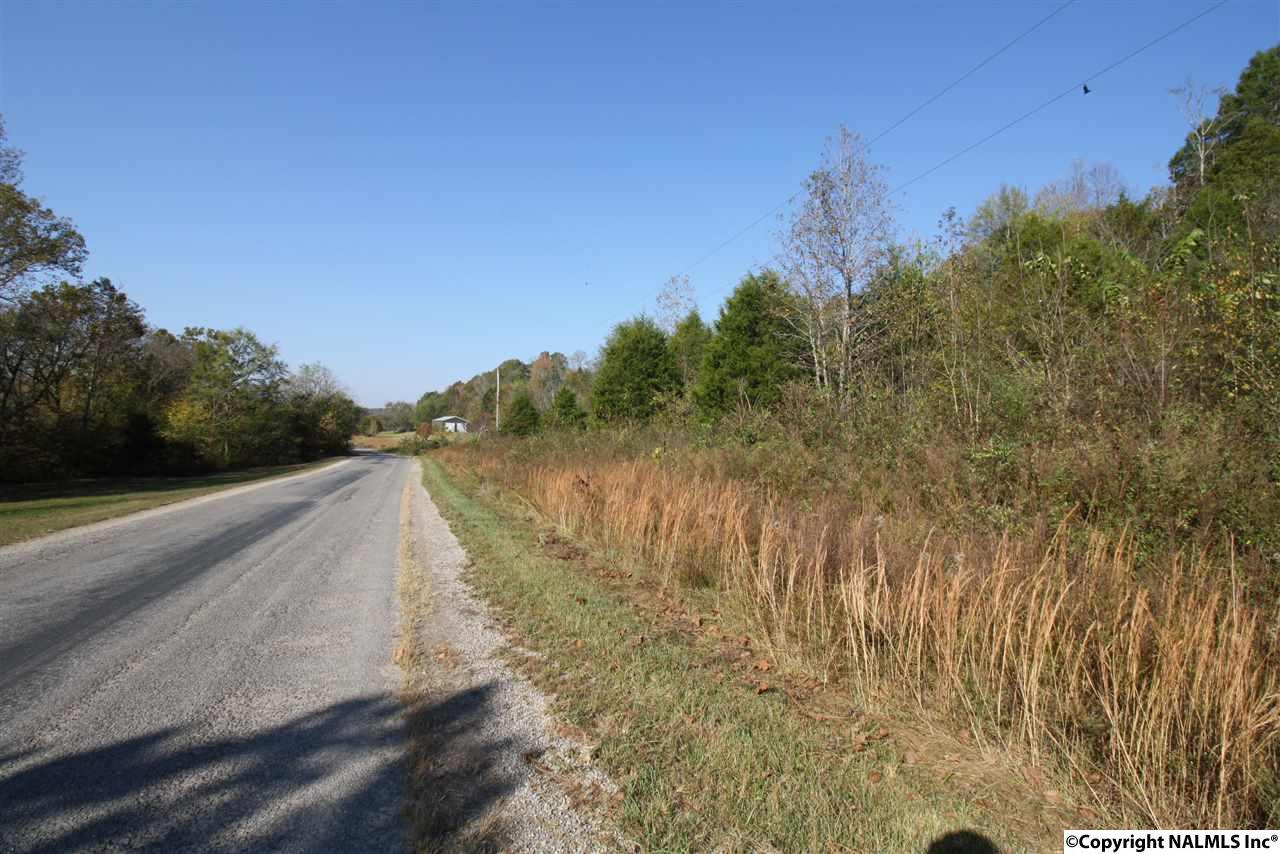 0 Mclemore Road - Photo 1
