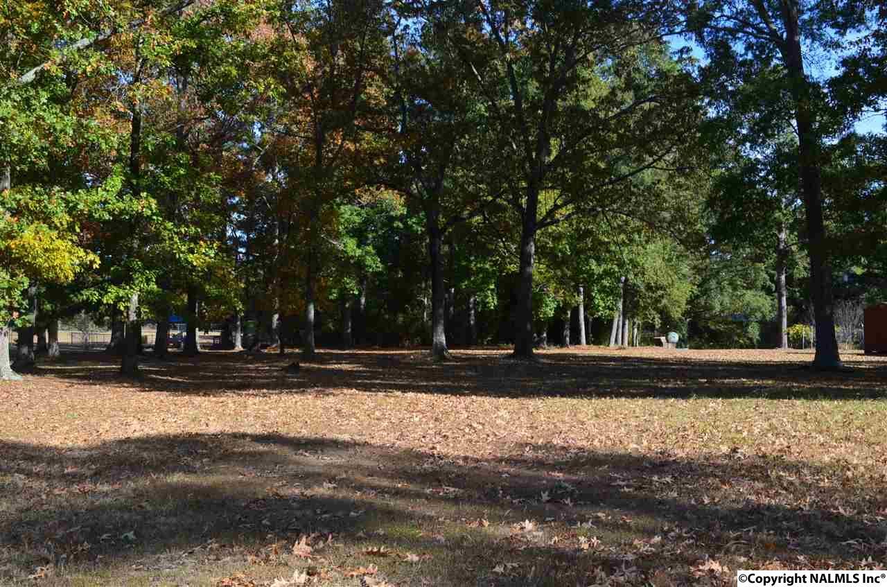 300 Goldenrod Avenue - Photo 1
