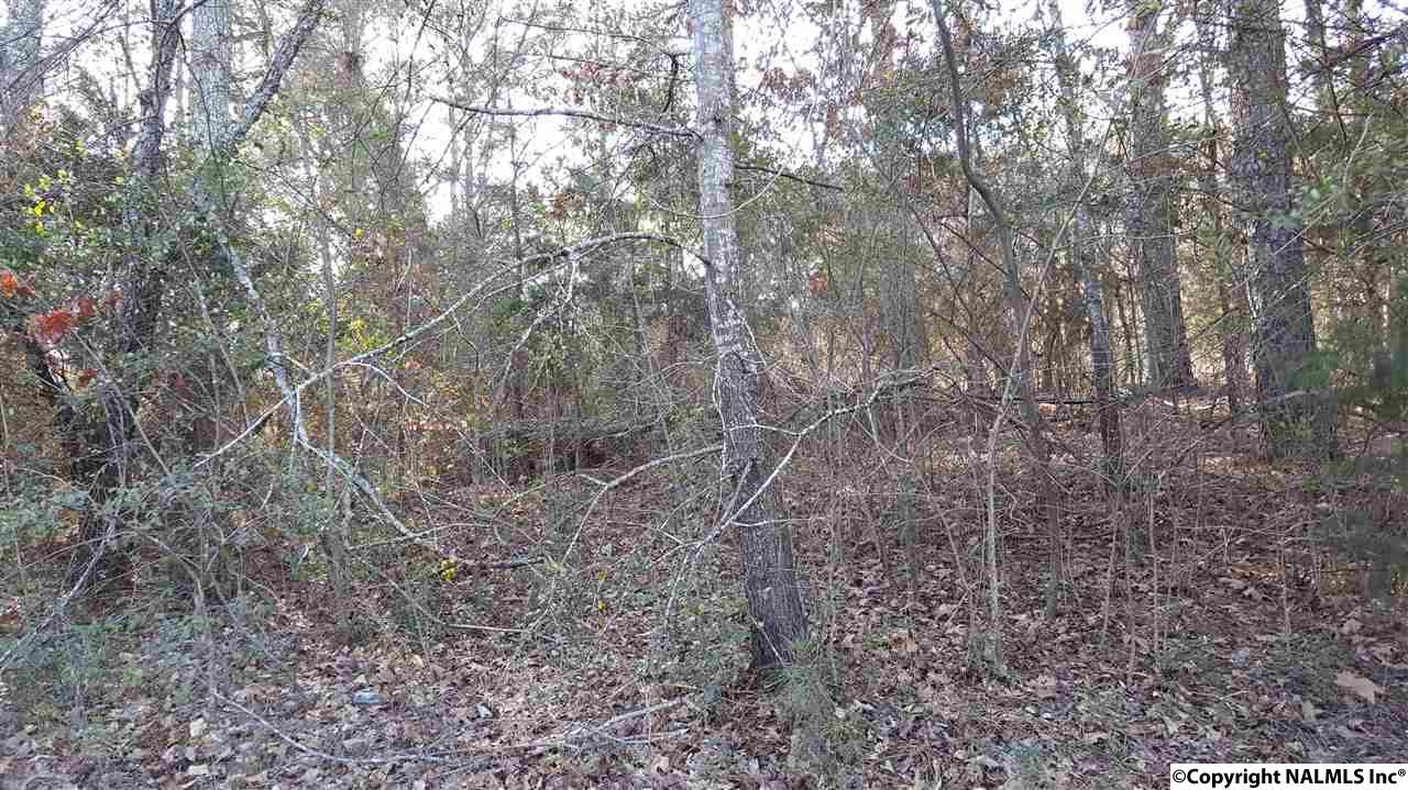 LOT 6 Ridge Circle - Photo 1