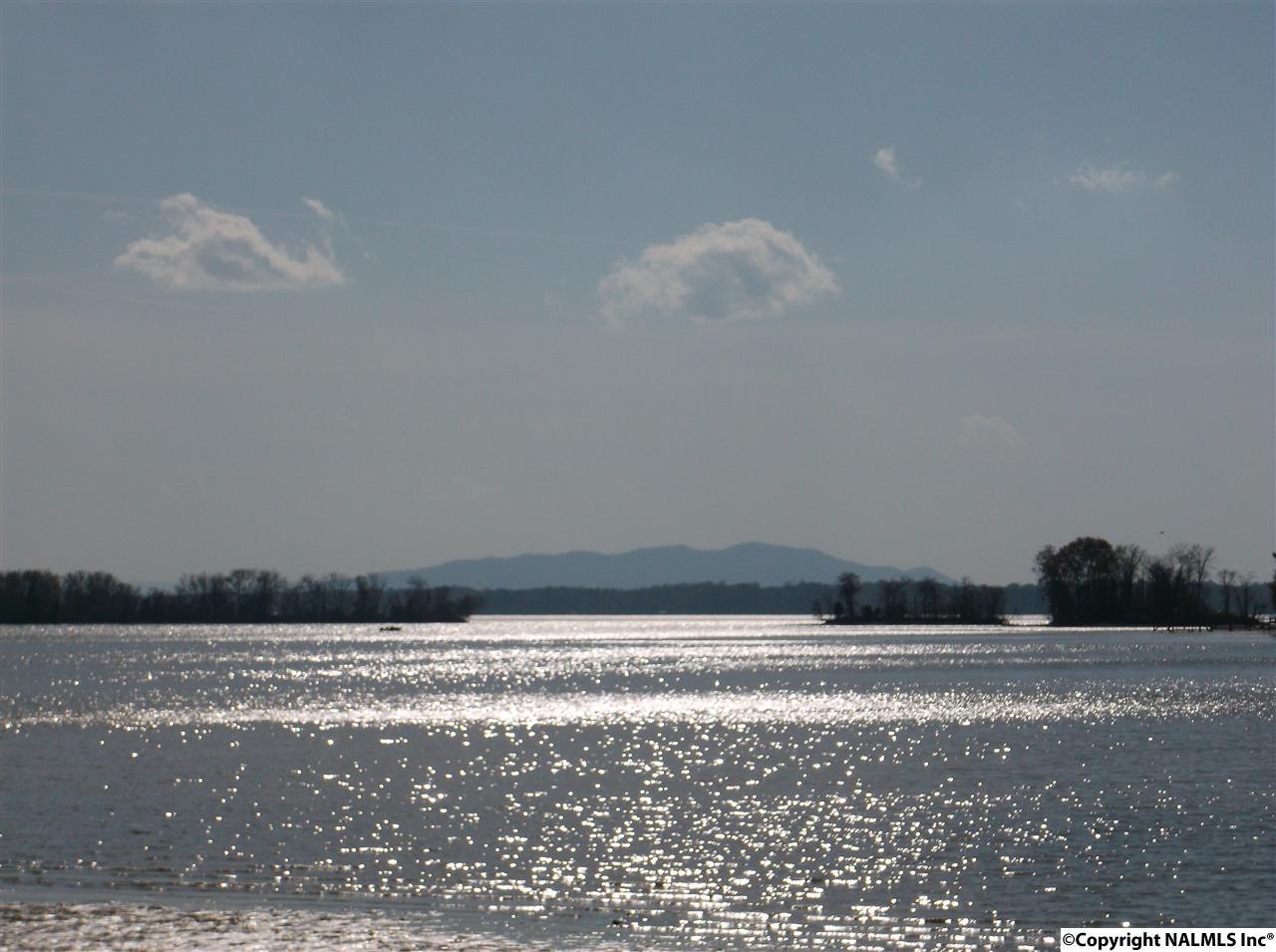 125 Hidden Point Drive - Photo 1