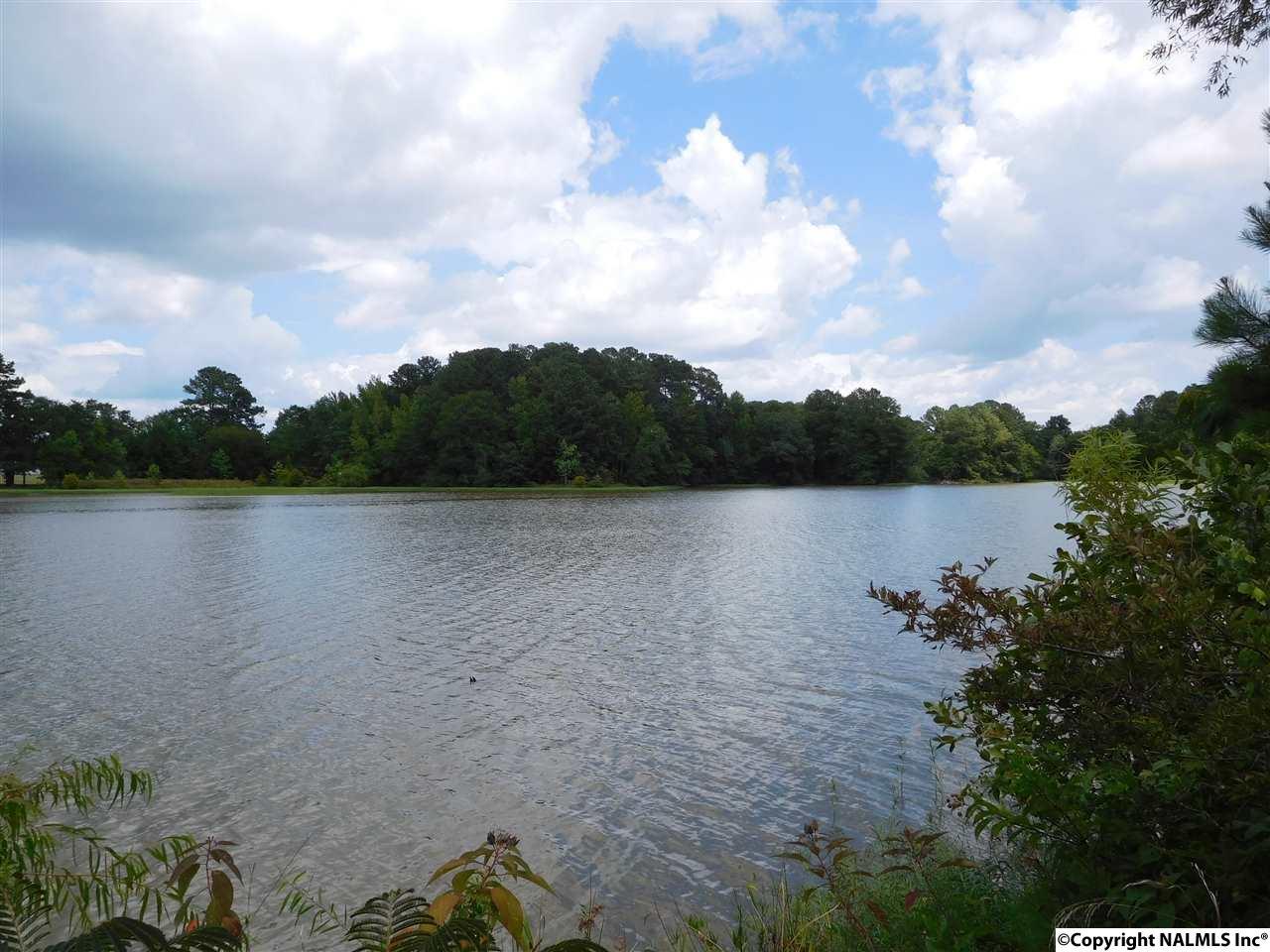 7 Lakeside Drive - Photo 1