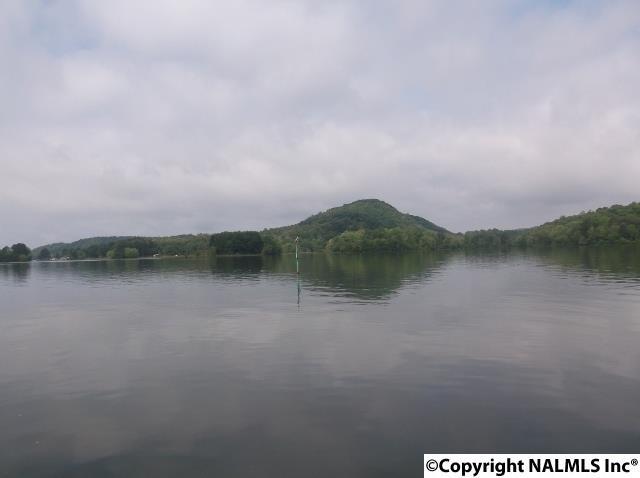 18 County Road 479 - Photo 1