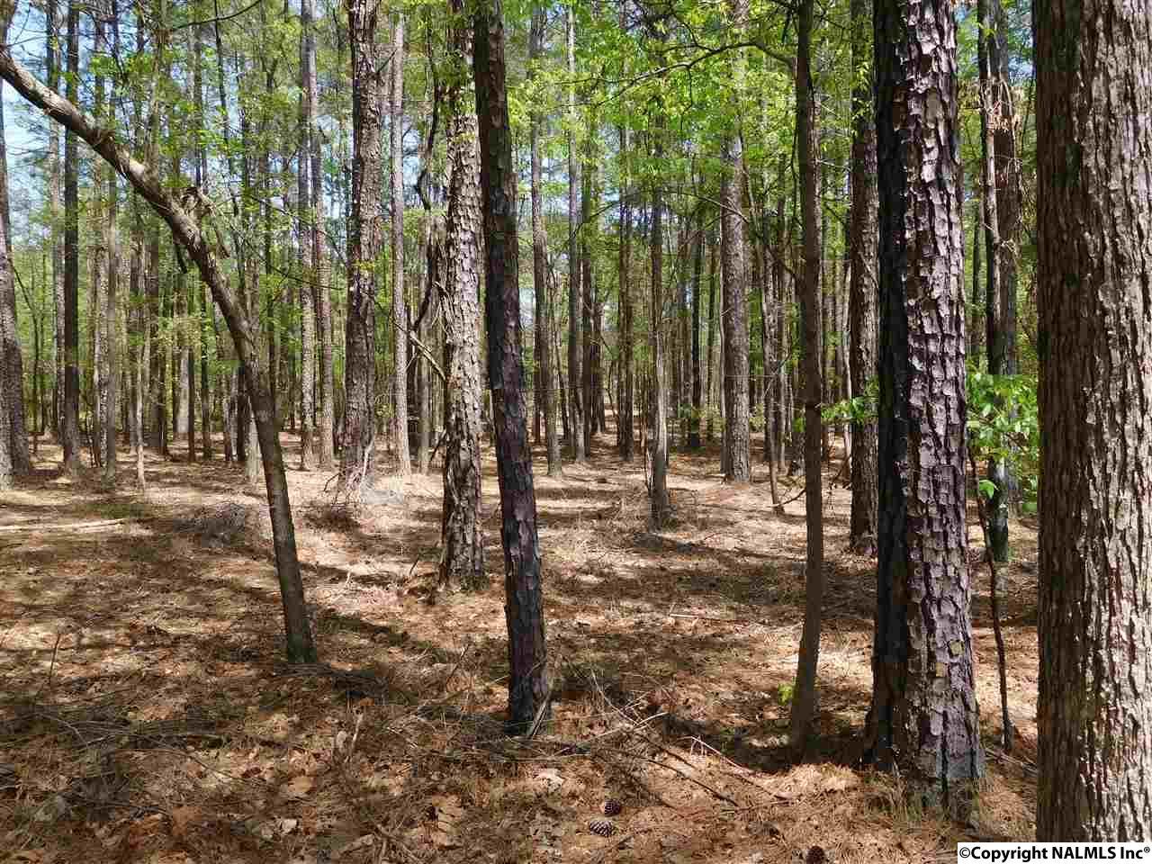 24 County Road 380 - Photo 1