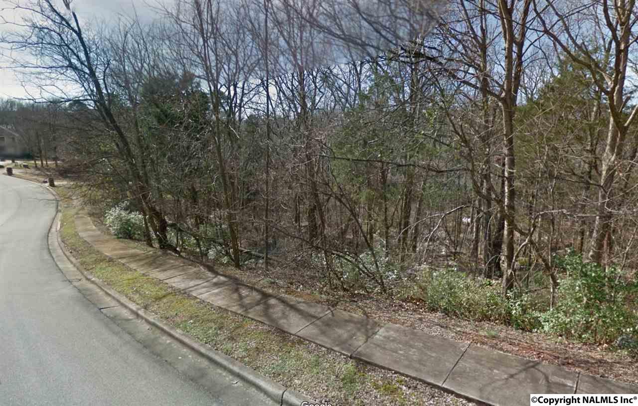 Lot 38 Burlington Drive - Photo 1