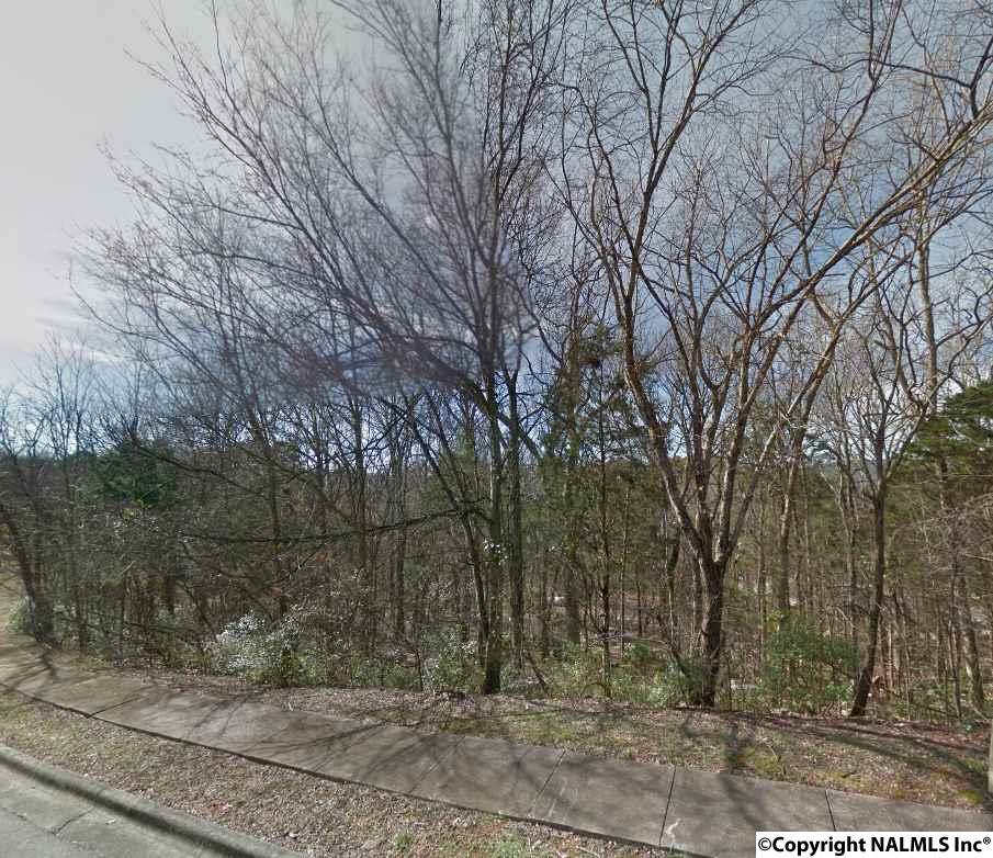 Lot 39 Burlington Drive - Photo 1