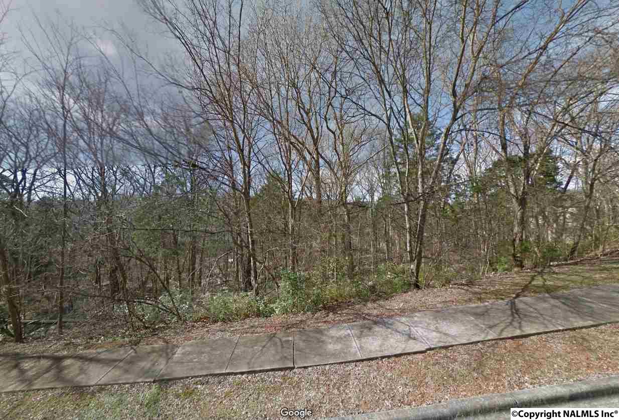 Lot 40 Burlington Drive - Photo 1