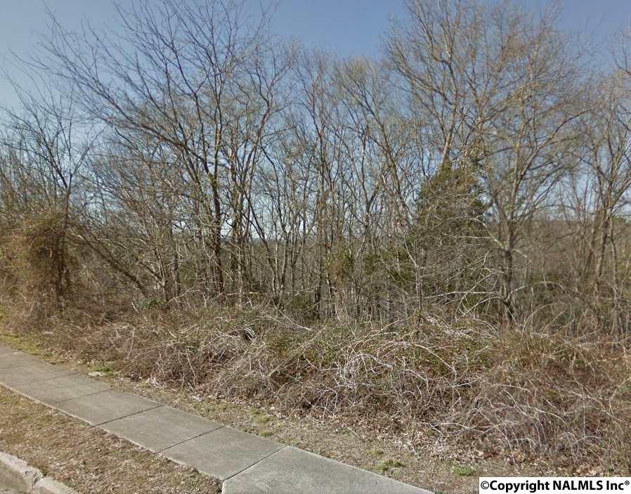 0 Carlisle Drive - Photo 1