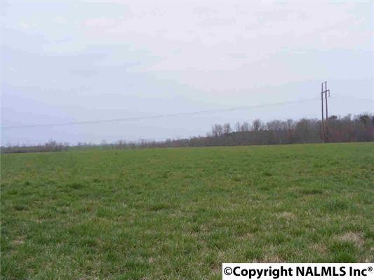 935 County Road 577 - Photo 1
