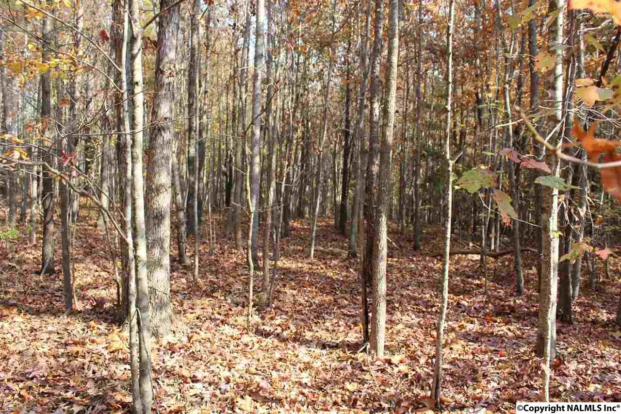 1670 County Road 120 - Photo 1