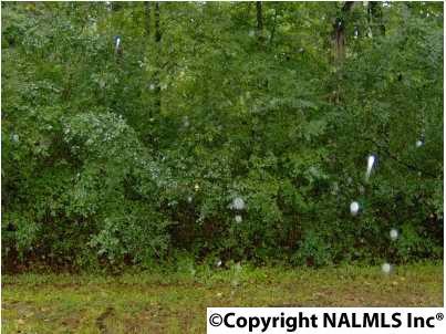 15 Willmon Circle - Photo 1