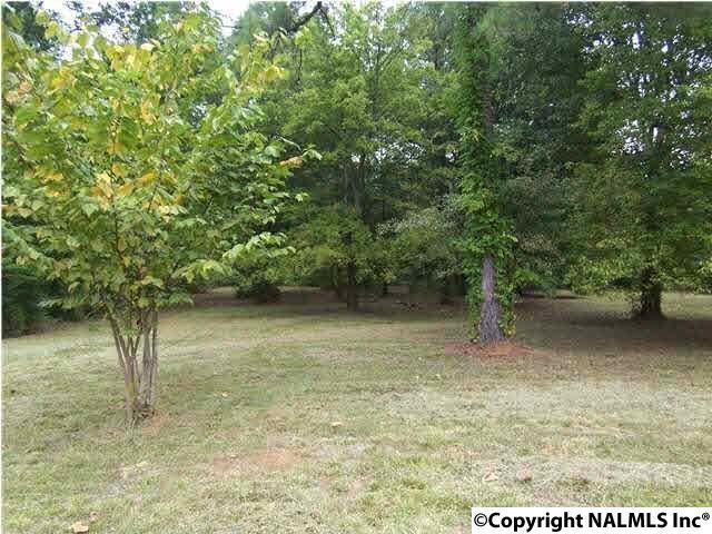 Hawkins Drive - Photo 1