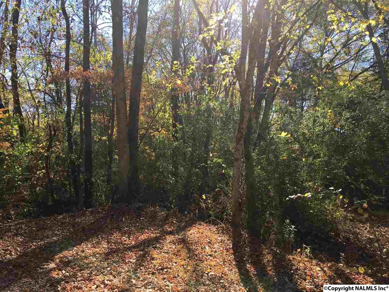 0 Whitaker Drive - Photo 1