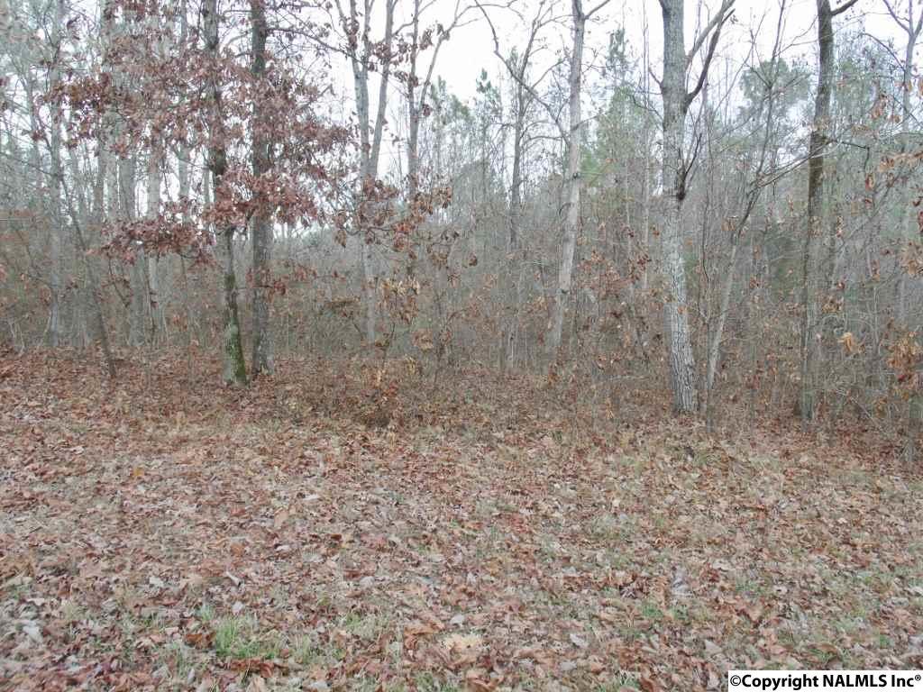 LOT 10 BLOCK 1 Pine Lake Trail - Photo 1