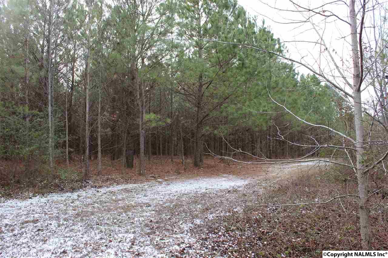 2020 County Road 102 - Photo 1