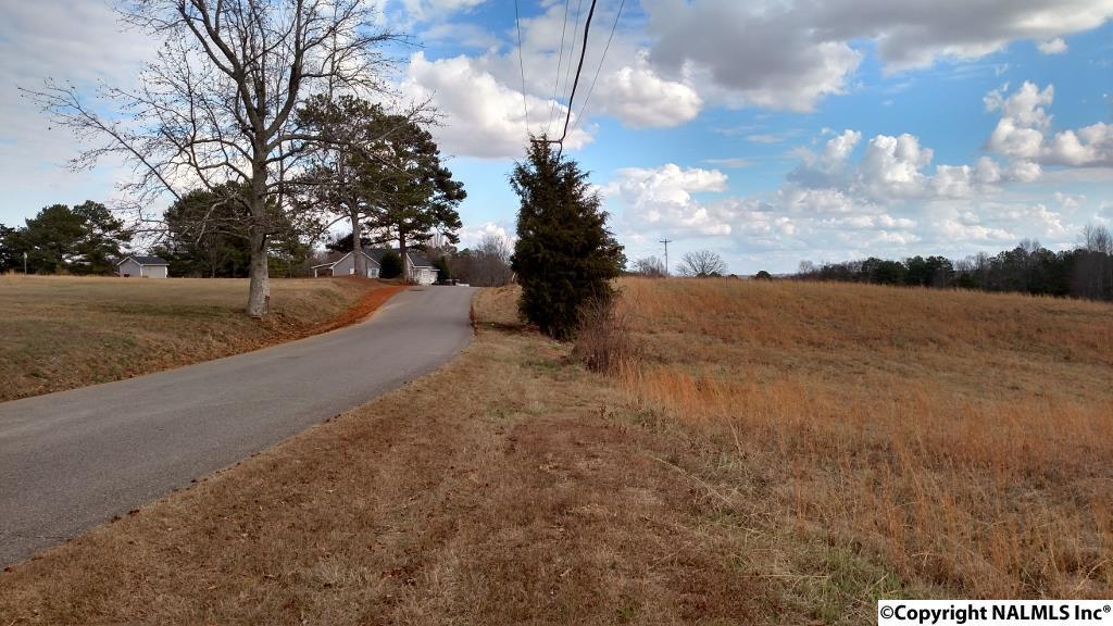 02 Wyeth Mountain Road - Photo 1
