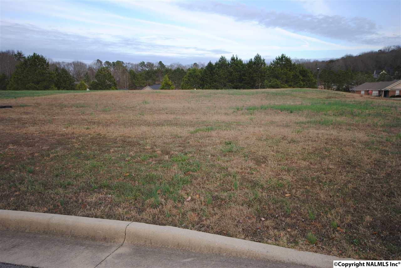 2700 Blake Drive - Photo 1
