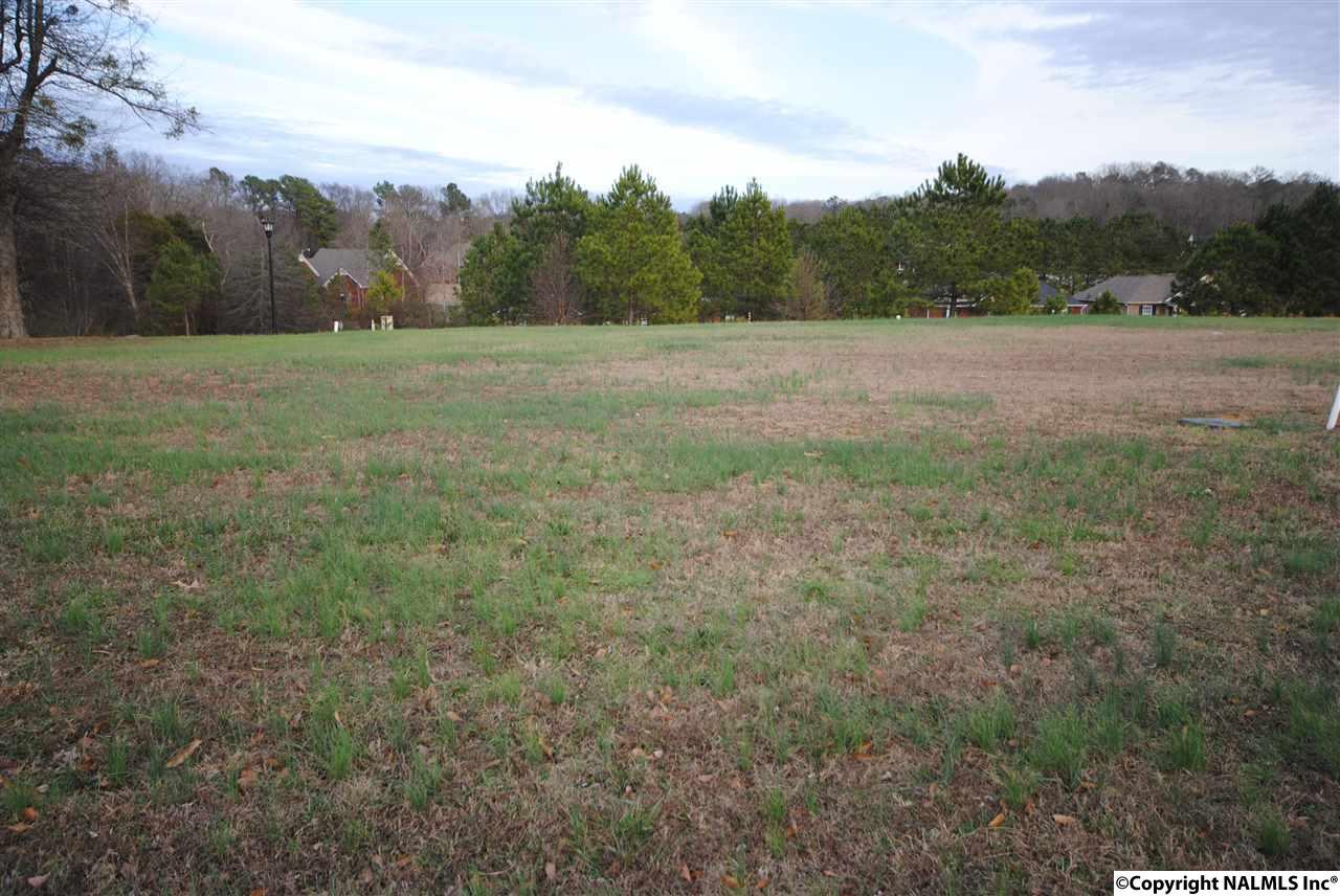 2706 Blake Drive - Photo 1