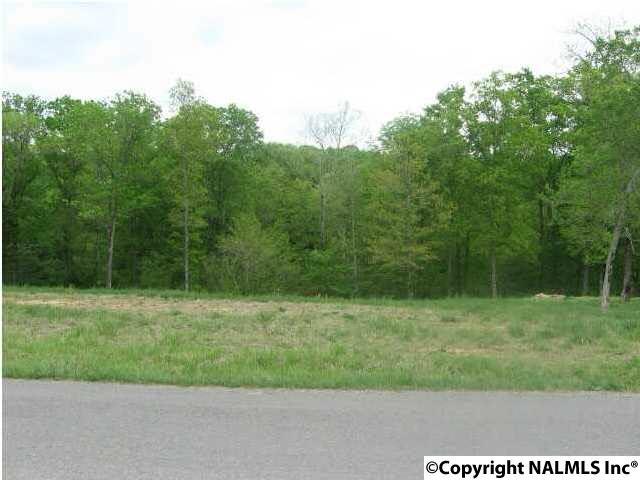 371 Criscoe Road - Photo 1