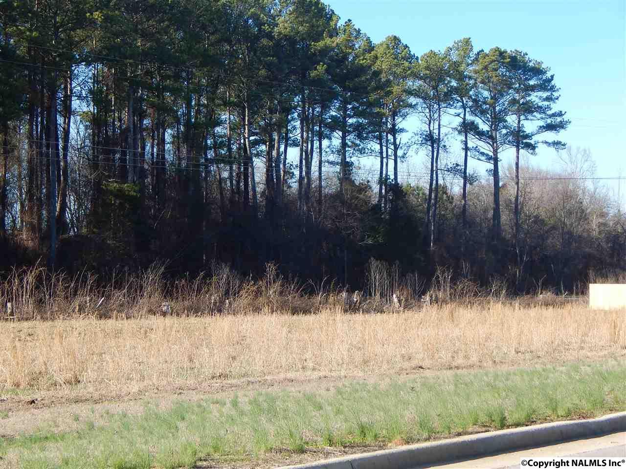 LOT 12 Shadow Way - Photo 1