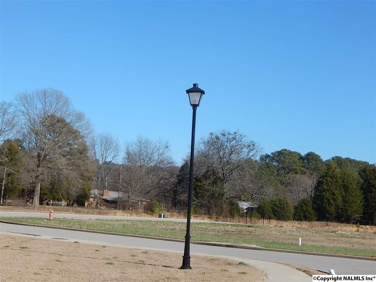 LOT 15 Shadow Way - Photo 1
