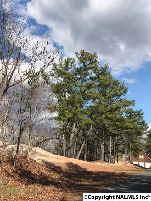 1356 Scenic Drive - Photo 1