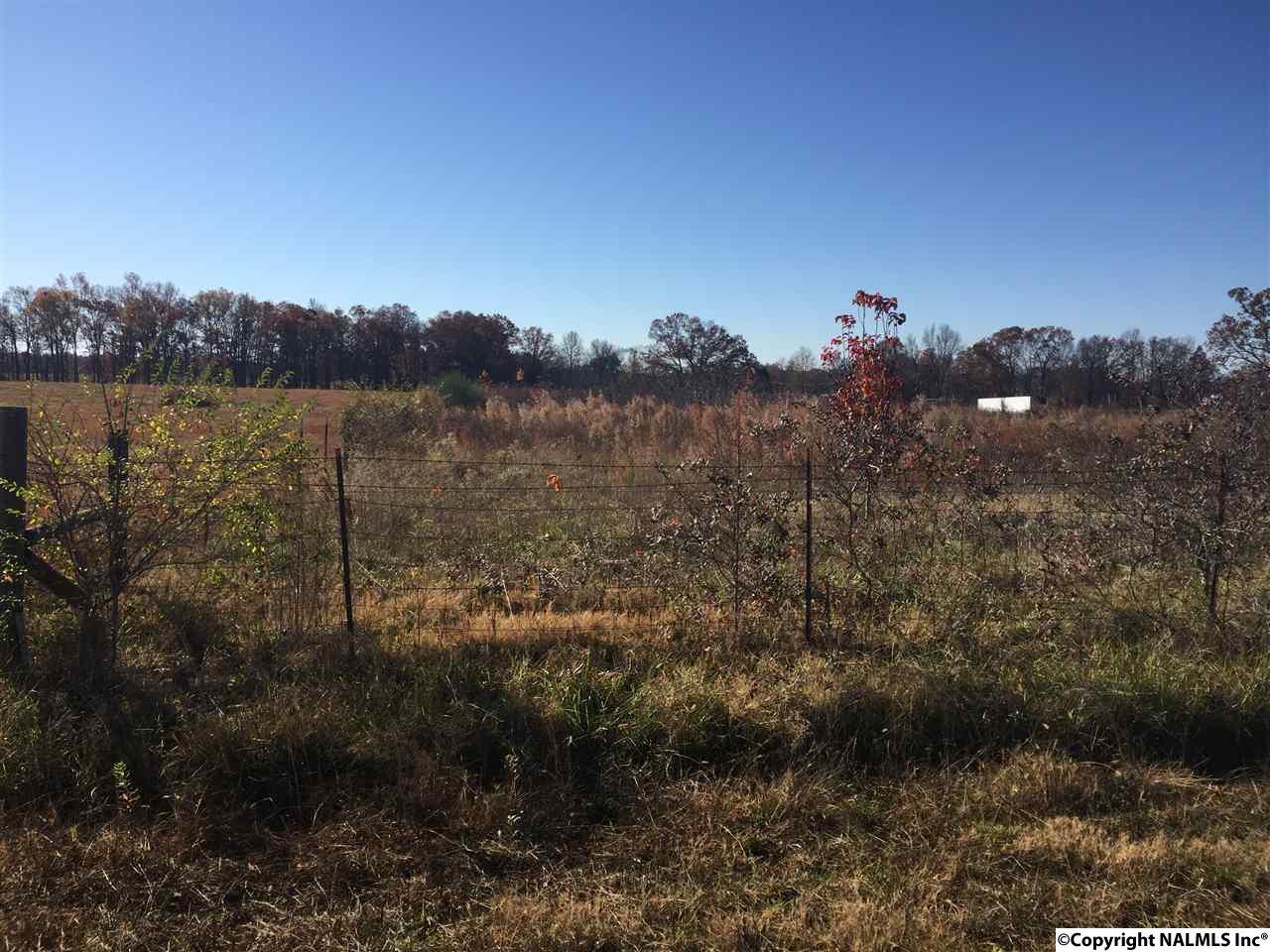 0 Airport Road - Photo 1