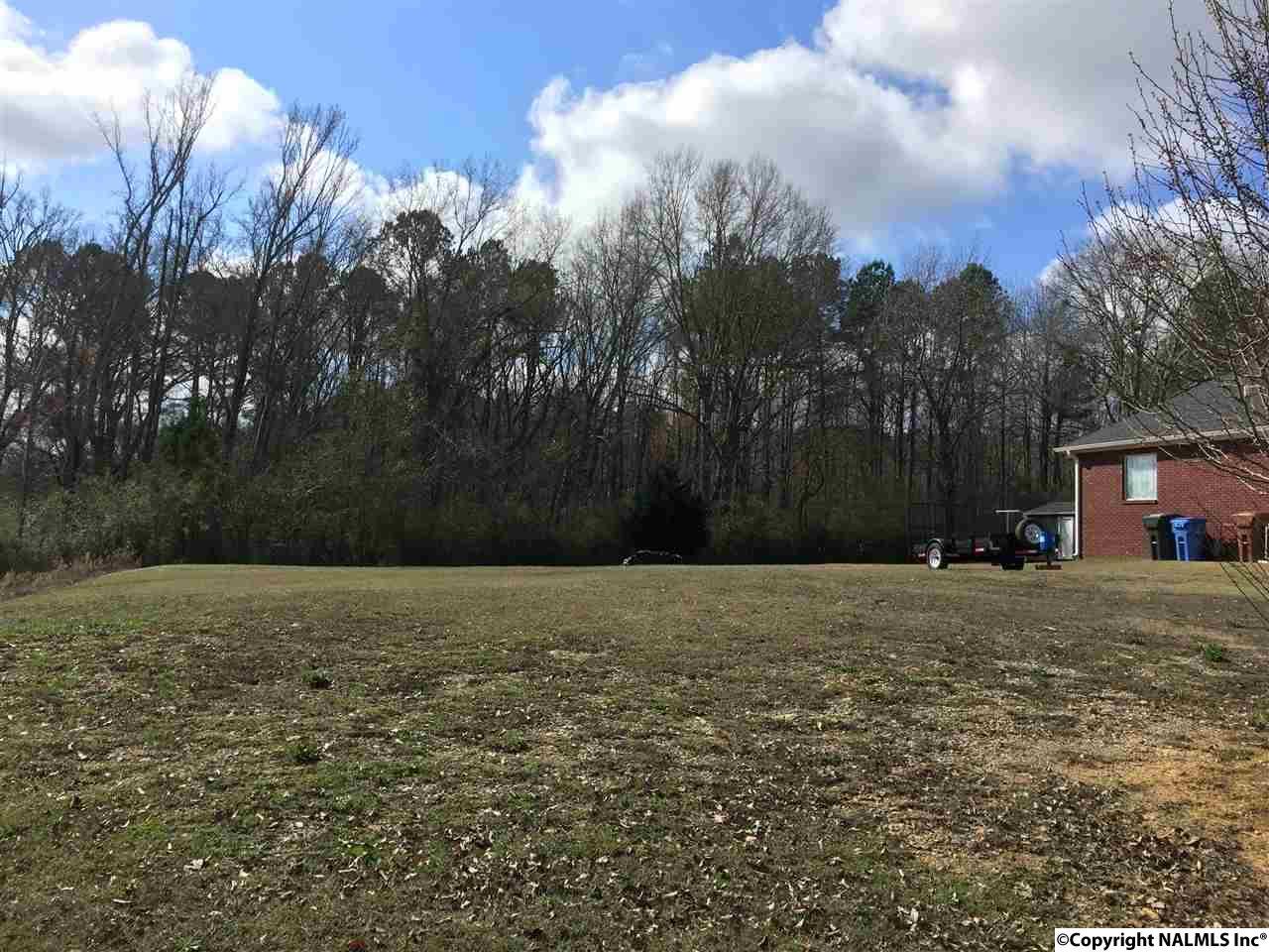 1202 Hunter Lane - Photo 1
