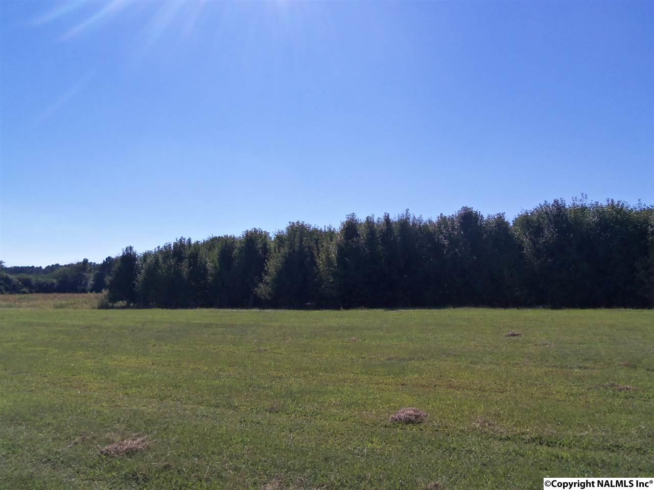 Lot 7 Jacksonville Street - Photo 1