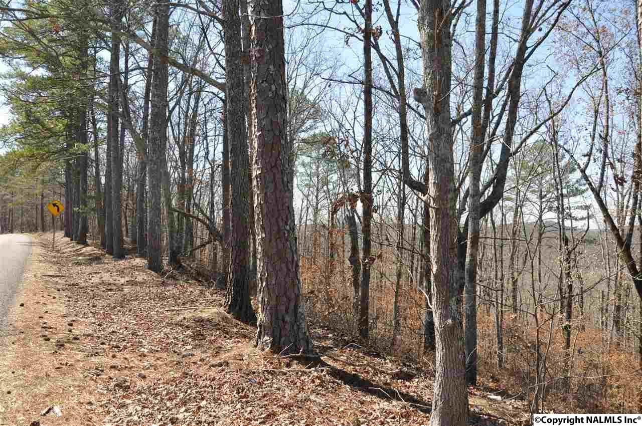 0 Scenic Highway - Photo 1