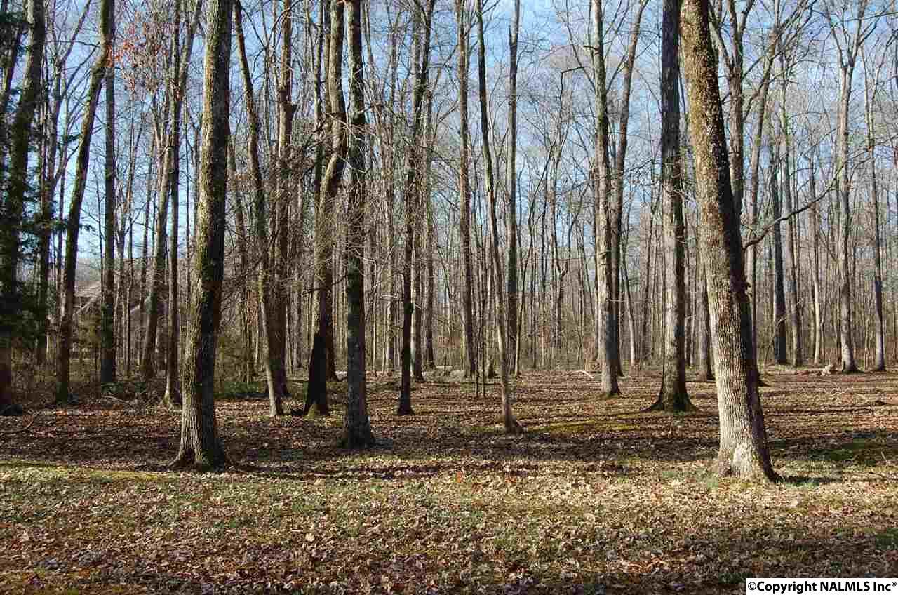 Lot #9 Woodland Terrace - Photo 1