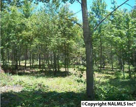 Lot 2 County Road 761 - Photo 1