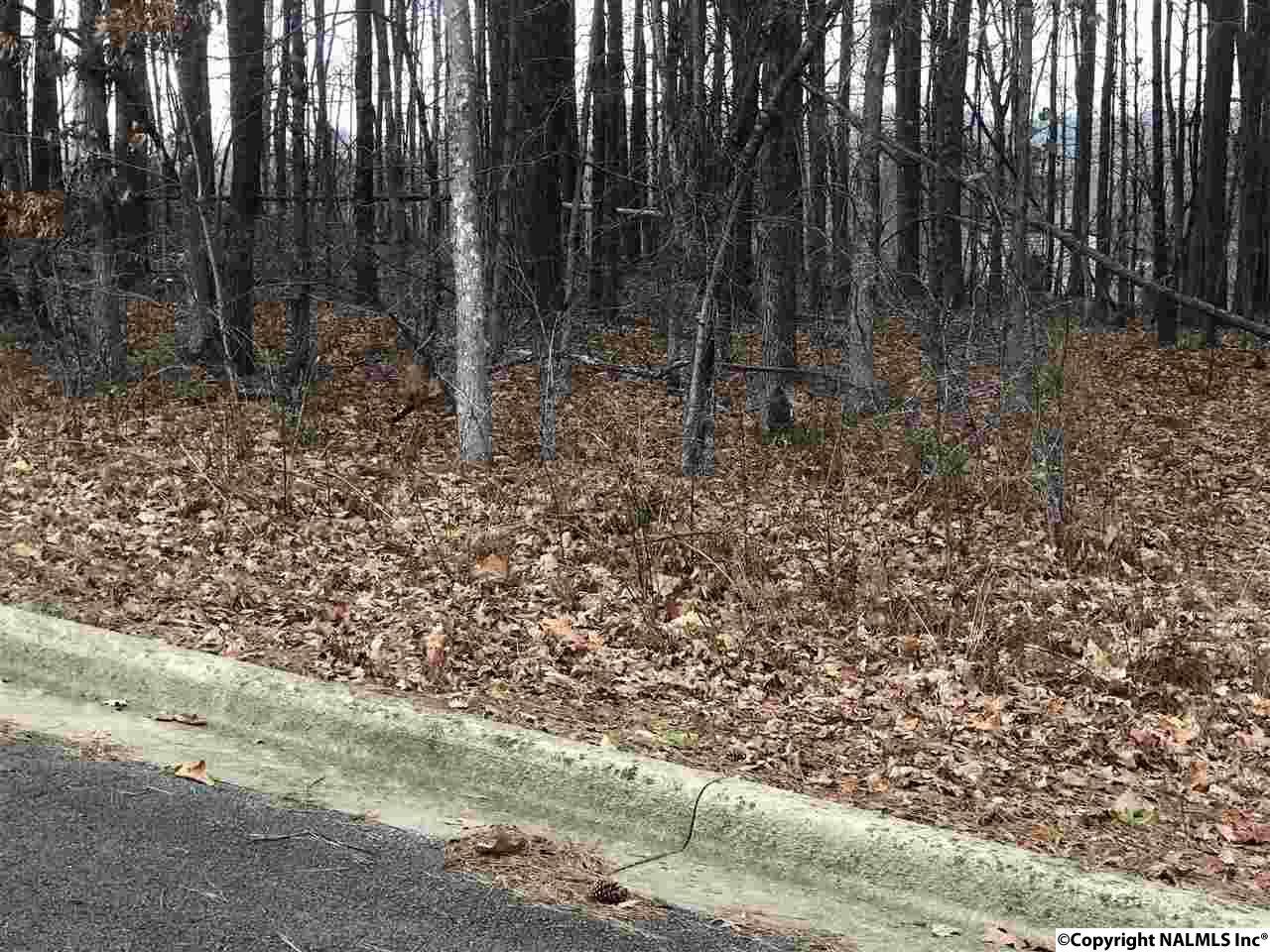 13 Cade Circle - Photo 1