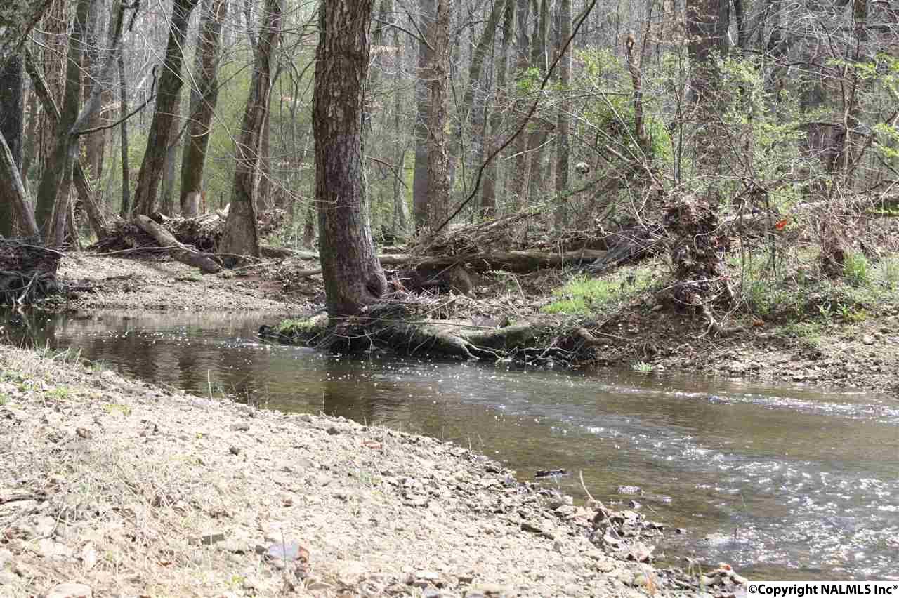 Brier Fork Road - Photo 1