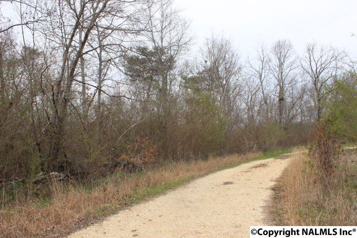 637 County Road 158 - Photo 1