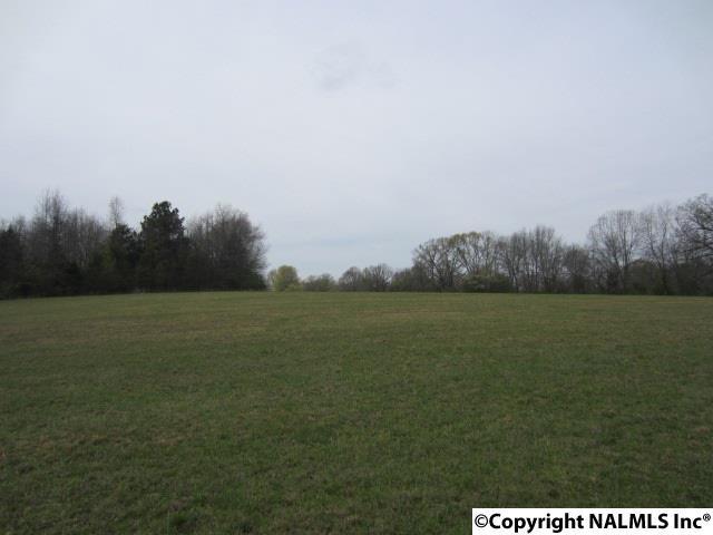 0 Huntsville Hwy - Photo 1