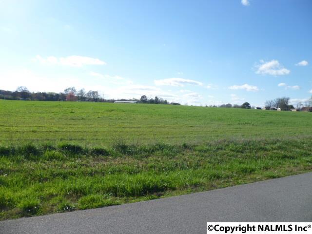 lot 4 Maple Avenue - Photo 1