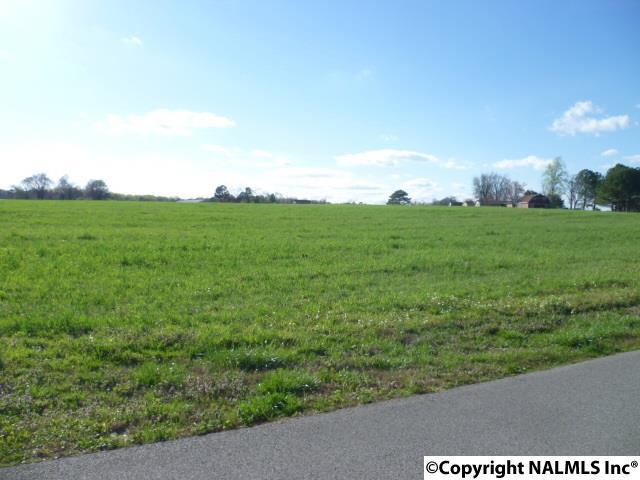 Lot 6 Maple Avenue - Photo 1