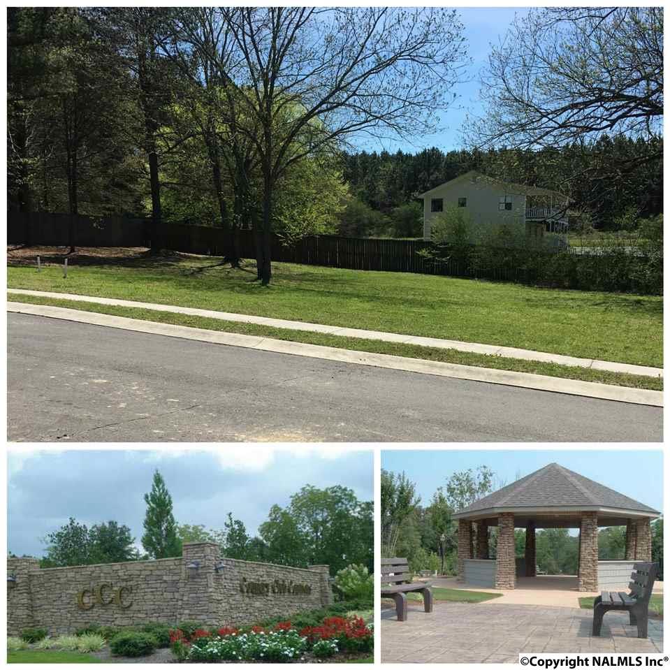 LOT 38-39 Gleneagle Way - Photo 1